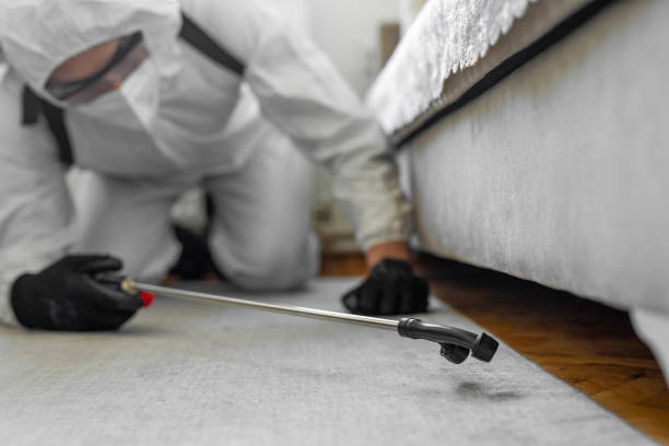 Professional Termite Control technician working in Calverton, NY