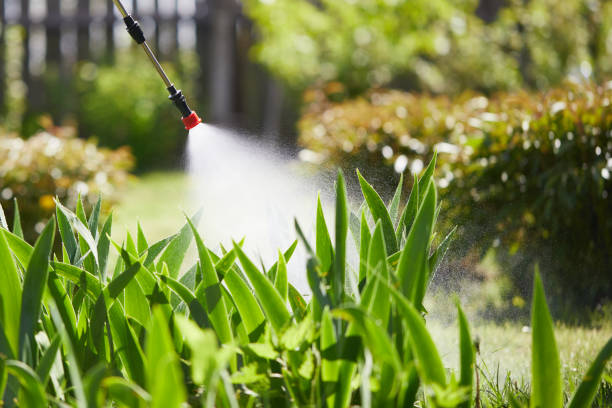24/7 Emergency Termite Control experts in Calverton, NY