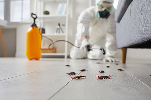 Affordable Termite Control solutions in Calverton, NY
